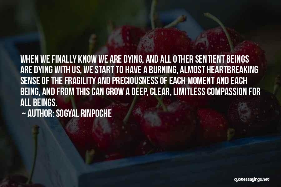 Almost Dying Quotes By Sogyal Rinpoche