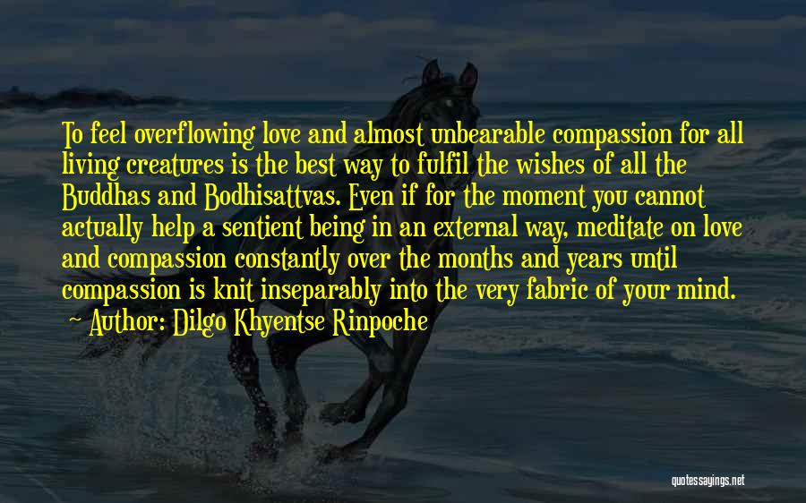 Almost Love You Quotes By Dilgo Khyentse Rinpoche