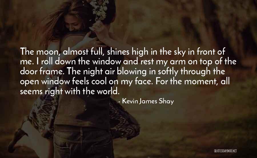 Almost Moon Quotes By Kevin James Shay Almost Moon Quotes By Kevin James Shay