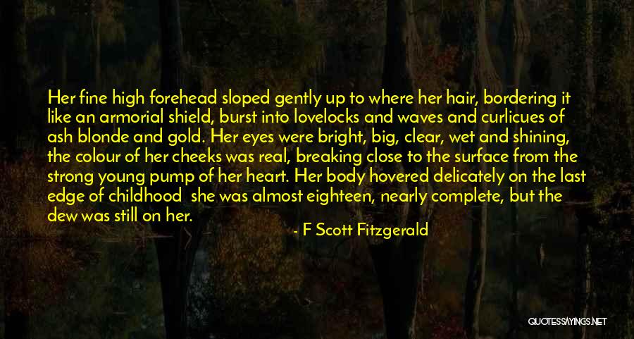 Almost There Inspirational Quotes By F Scott Fitzgerald