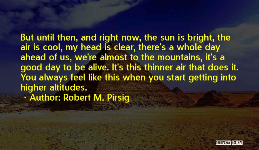 Almost There Love Quotes By Robert M. Pirsig