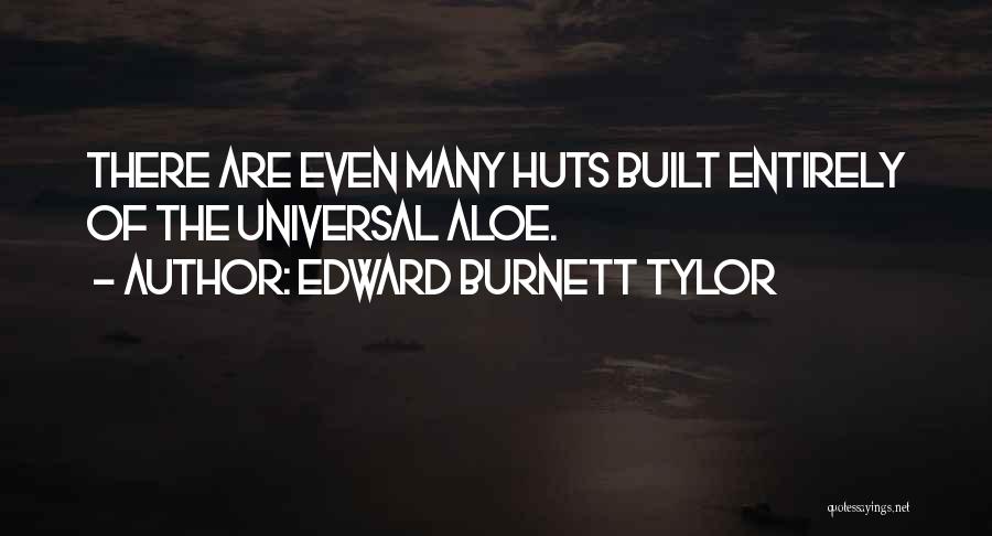 Aloe Quotes By Edward Burnett Tylor