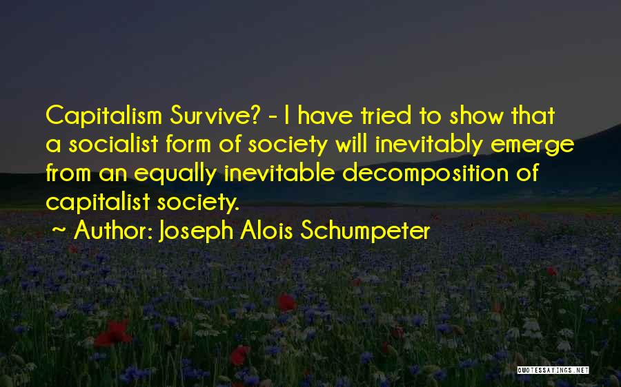 Alois Quotes By Joseph Alois Schumpeter