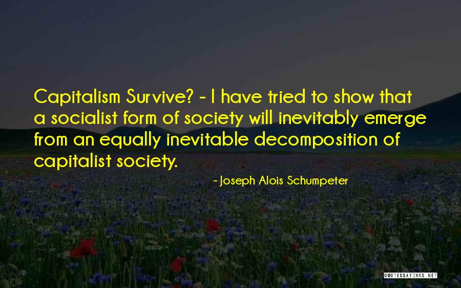 Alois Quotes By Joseph Alois Schumpeter