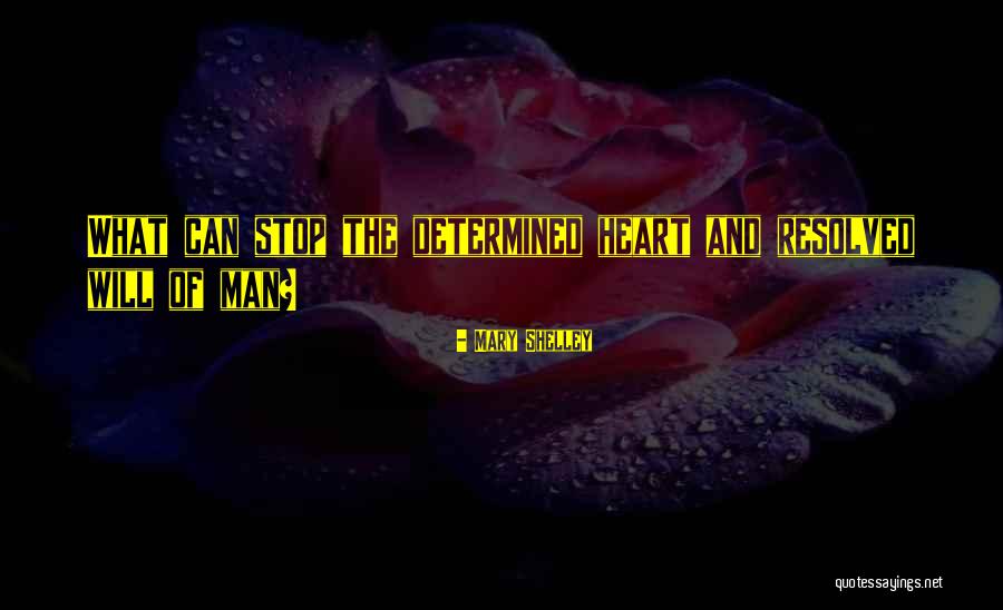 Alojzy Klim Quotes By Mary Shelley Alojzy Klim Quotes By Mary Shelley