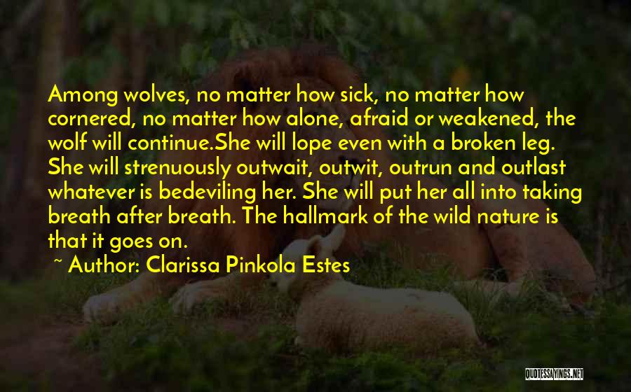 Alone And Broken Quotes By Clarissa Pinkola Estes