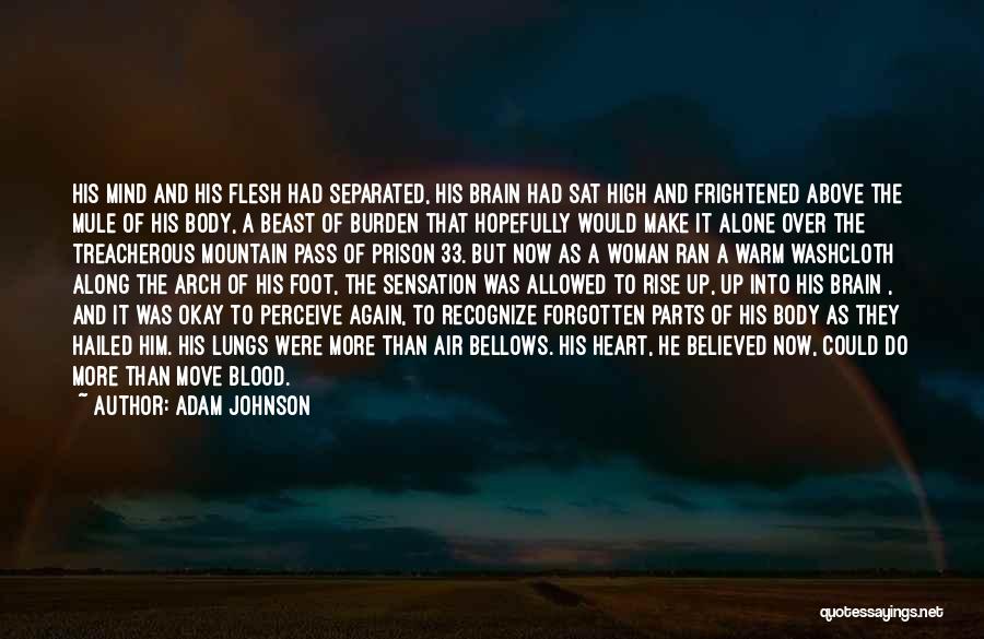 Alone And Okay Quotes By Adam Johnson