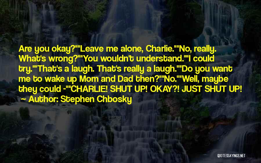 Alone And Okay Quotes By Stephen Chbosky