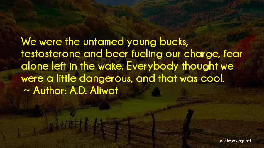 Alone But Cool Quotes By A.D. Aliwat