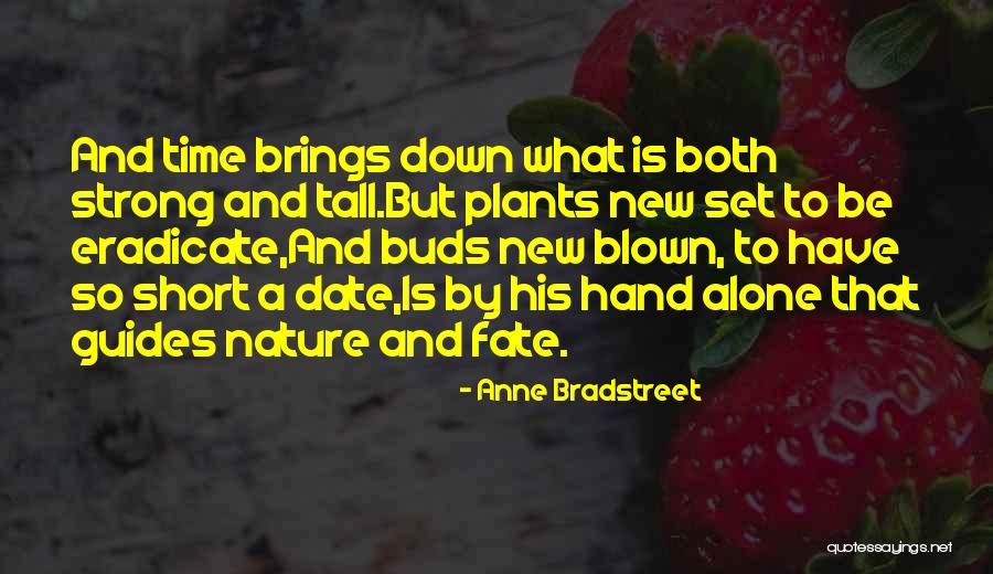 Alone But Strong Quotes By Anne Bradstreet Alone But Strong Quotes By Anne Bradstreet