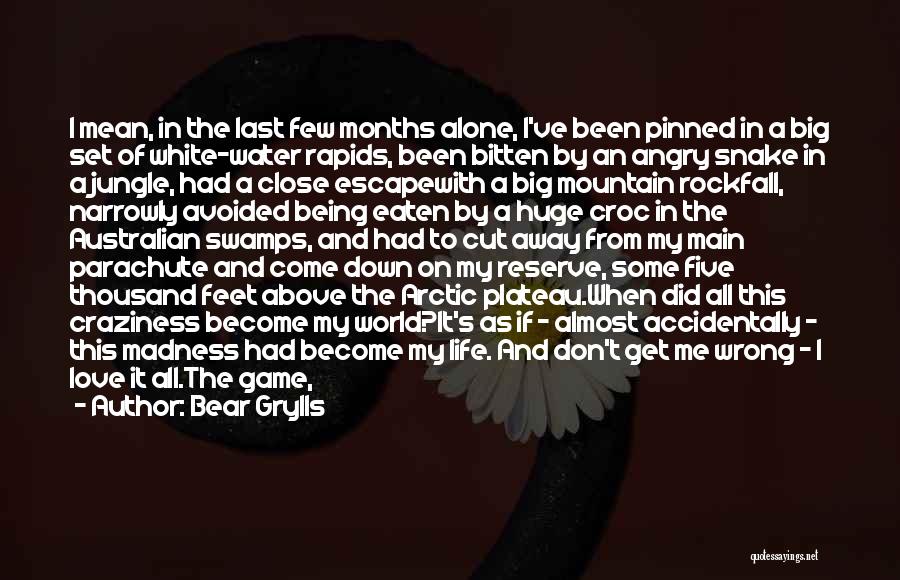 Alone In A Big World Quotes By Bear Grylls