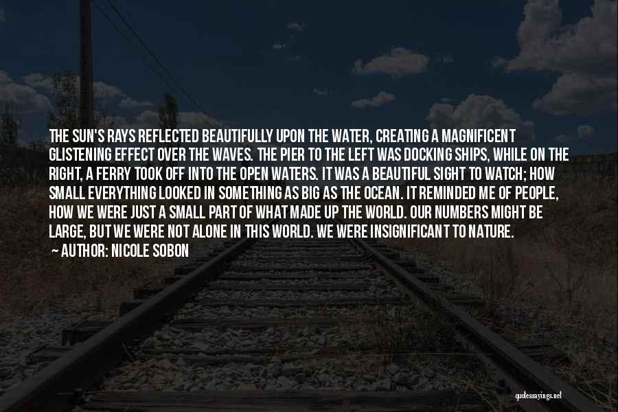 Alone In A Big World Quotes By Nicole Sobon