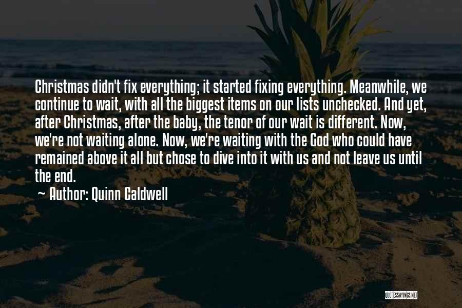 Alone In Christmas Quotes By Quinn Caldwell
