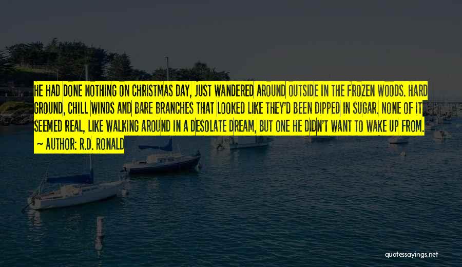 Alone In Christmas Quotes By R.D. Ronald