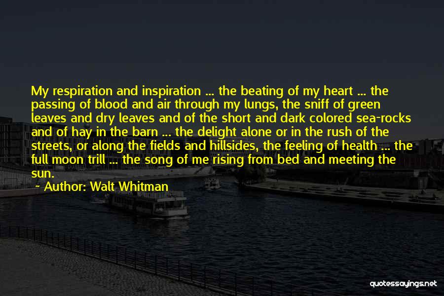 Alone In My Bed Quotes By Walt Whitman