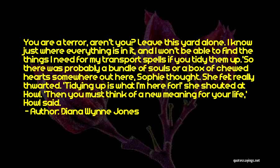 Alone In My Life Quotes By Diana Wynne Jones