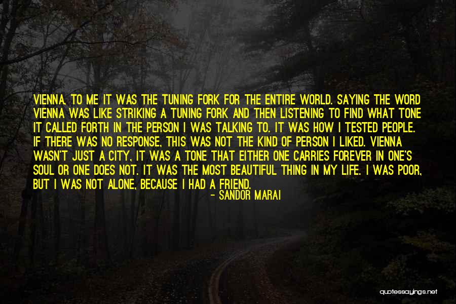 Alone In My Life Quotes By Sandor Marai Alone In My Life Quotes By Sandor Marai