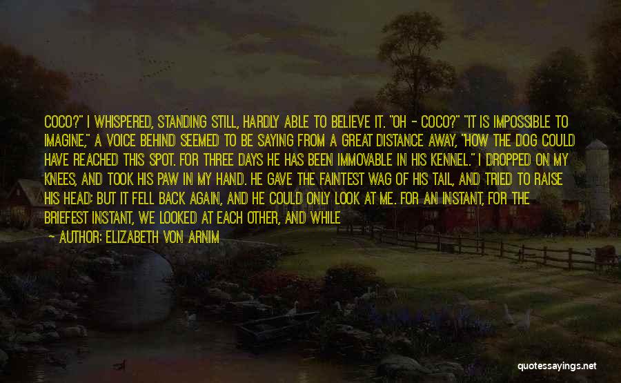 Alone Standing Quotes By Elizabeth Von Arnim