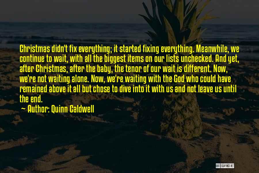 Alone This Christmas Quotes By Quinn Caldwell