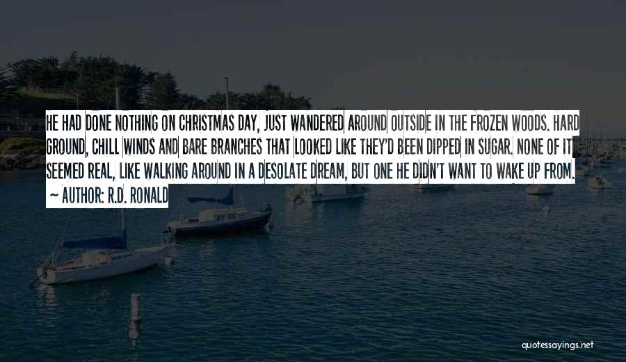 Alone This Christmas Quotes By R.D. Ronald