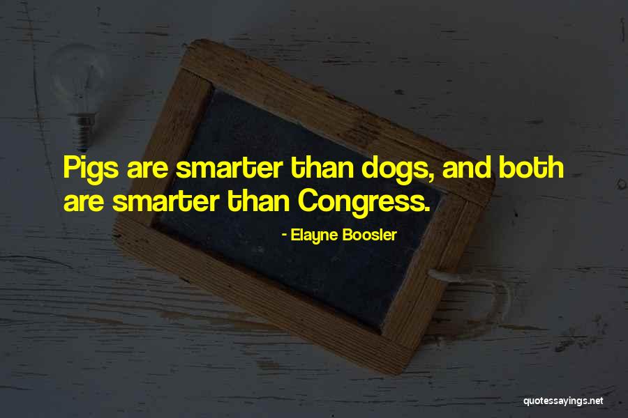 Alone Unloved Unwanted Quotes By Elayne Boosler Alone Unloved Unwanted Quotes By Elayne Boosler