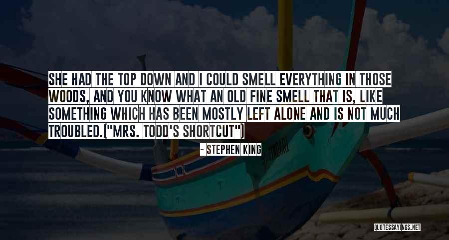 Alone Wilderness Quotes By Stephen King Alone Wilderness Quotes By Stephen King