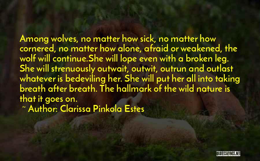 Alone With Nature Quotes By Clarissa Pinkola Estes