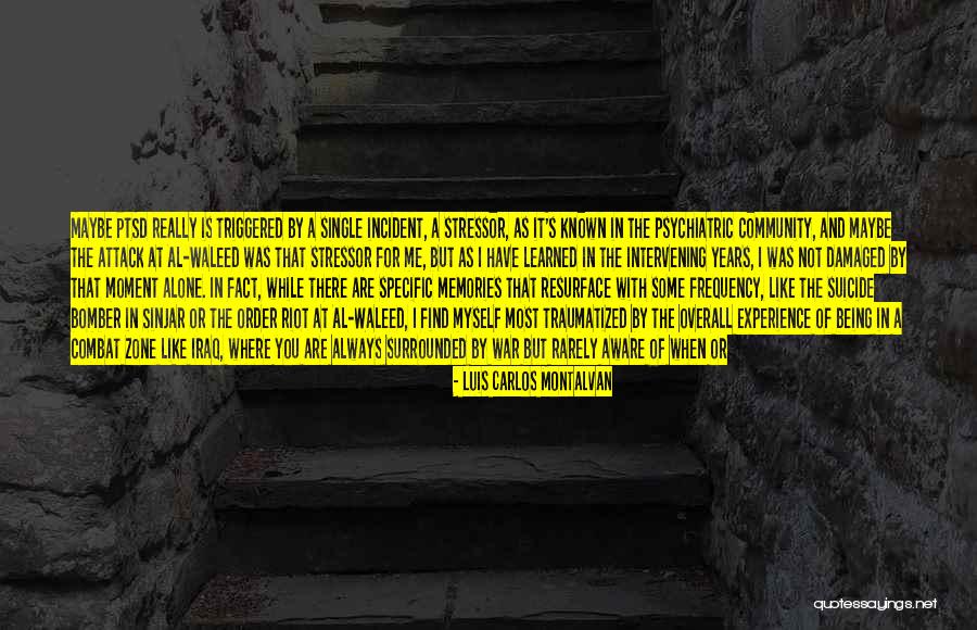 Alone Without You Quotes By Luis Carlos Montalvan Alone Without You Quotes By Luis Carlos Montalvan
