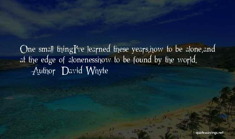 Aloneness Quotes By David Whyte