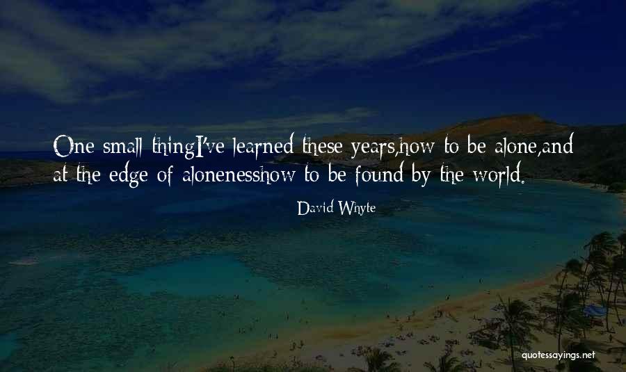 Aloneness Quotes By David Whyte