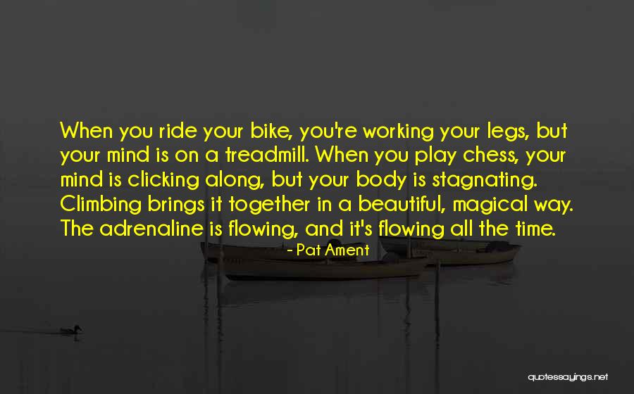 Along For The Ride Bike Quotes By Pat Ament