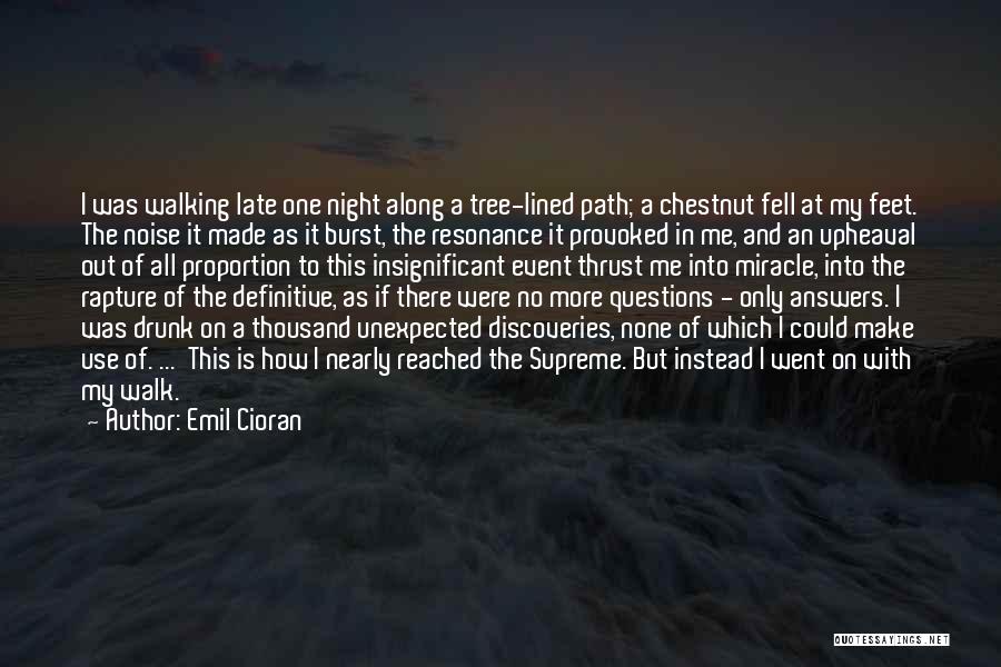 Along The Path Quotes By Emil Cioran