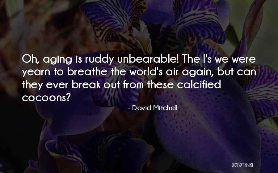 Aloo Tikki Chaat Quotes By David Mitchell Aloo Tikki Chaat Quotes By David Mitchell