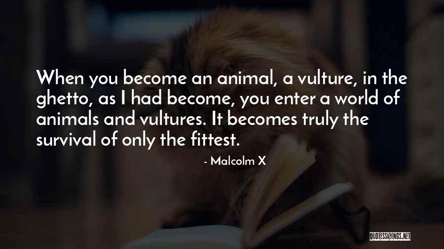 Alouette Cheese Quotes By Malcolm X Alouette Cheese Quotes By Malcolm X