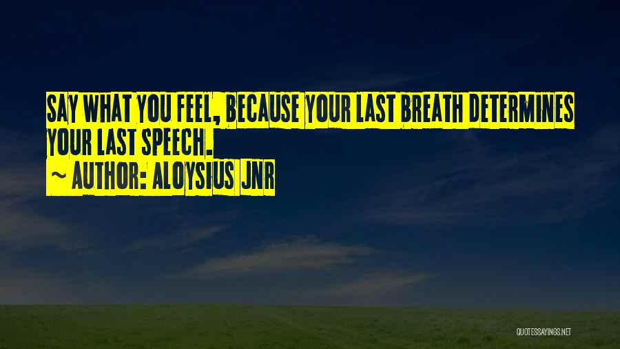 Aloysius Quotes By Aloysius Jnr