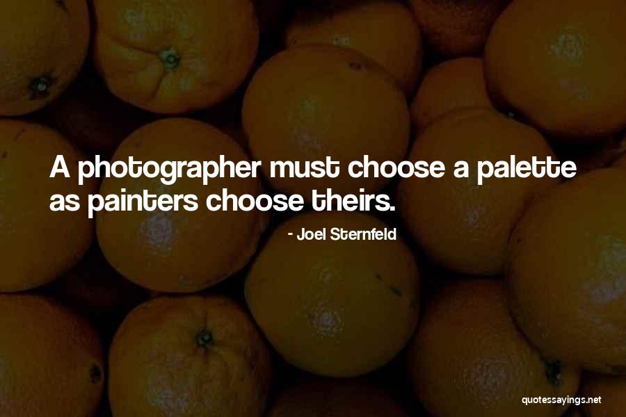 Alozia Hebert Quotes By Joel Sternfeld