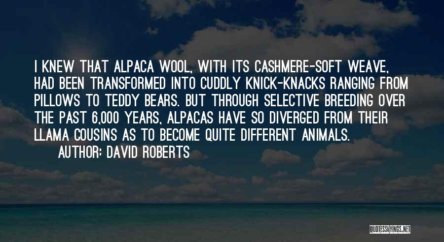 Alpaca Quotes By David Roberts