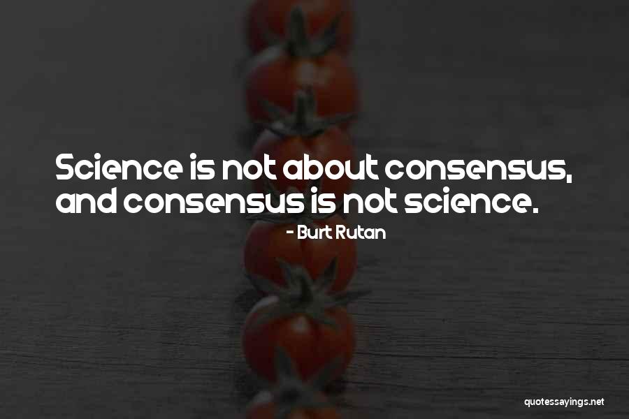 Alpaslan Duysak Quotes By Burt Rutan Alpaslan Duysak Quotes By Burt Rutan