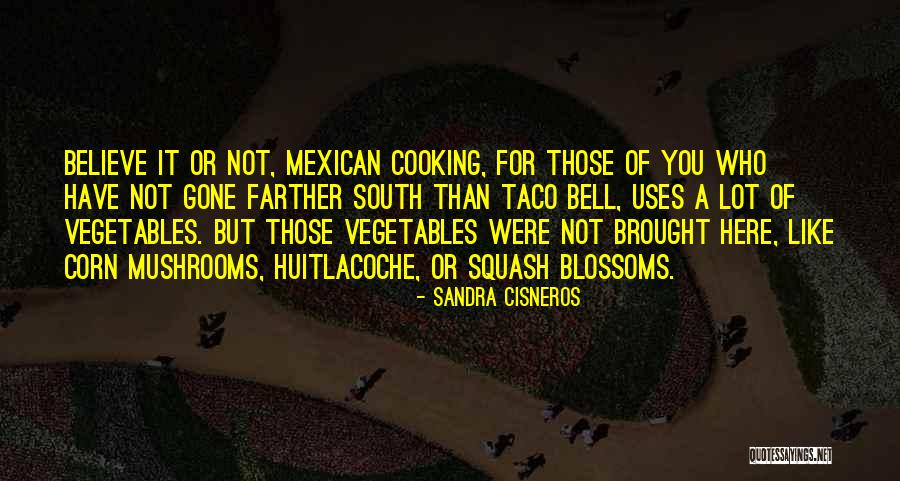 Alpen Rose Quotes By Sandra Cisneros Alpen Rose Quotes By Sandra Cisneros