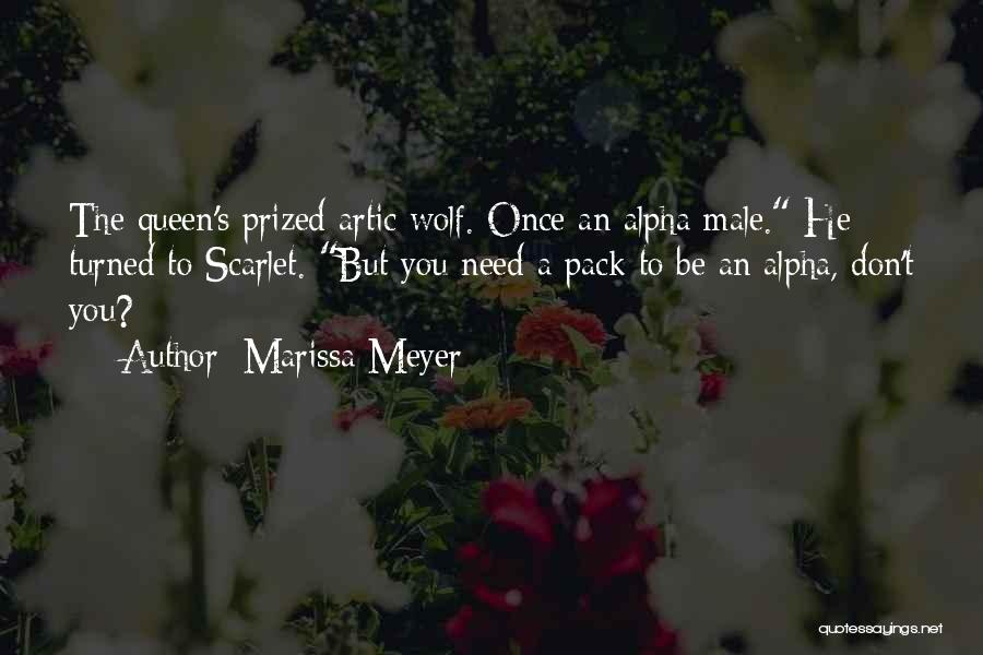 Alpha Male Wolf Quotes By Marissa Meyer