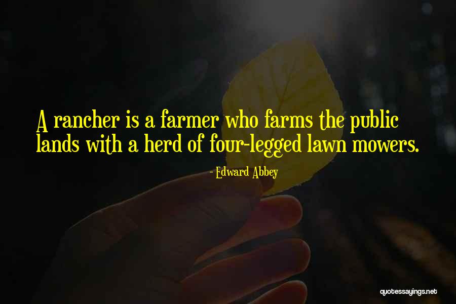 Alquiler De Coches Quotes By Edward Abbey Alquiler De Coches Quotes By Edward Abbey