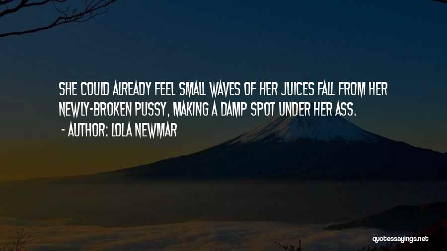 Already Broken Quotes By Lola Newmar