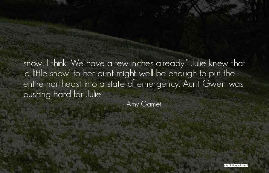 Already Knew Quotes By Amy Gamet