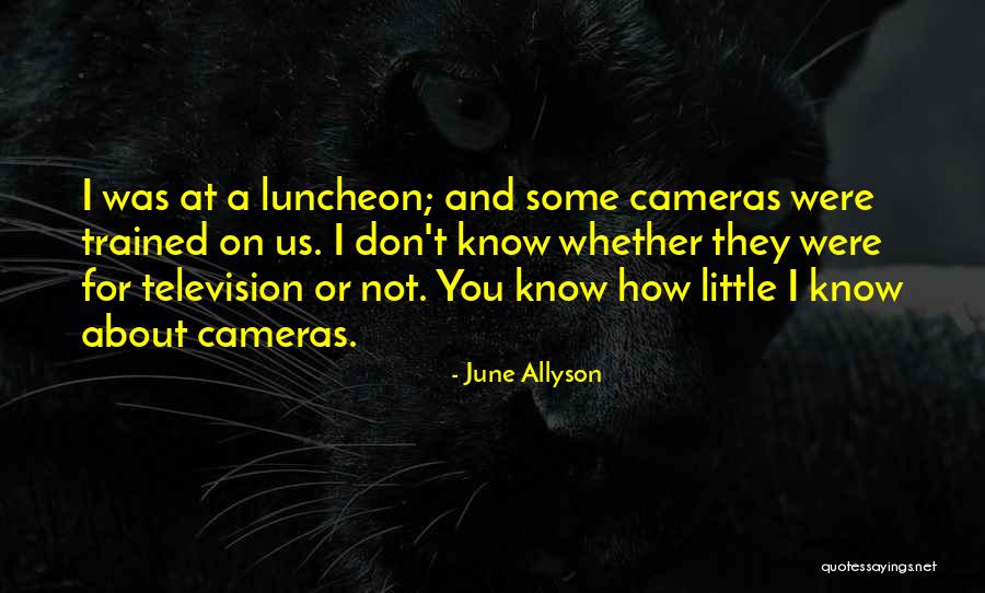Alsayeda Aisha School Quotes By June Allyson Alsayeda Aisha School Quotes By June Allyson