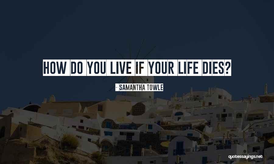 Alschner Property Quotes By Samantha Towle
