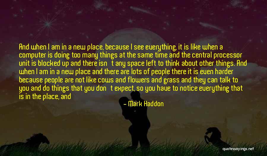 Alt.sysadmin.recovery Quotes By Mark Haddon