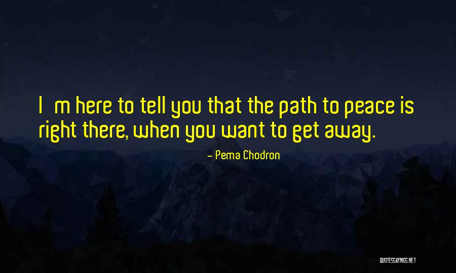 Altamar Acquisition Quotes By Pema Chodron Altamar Acquisition Quotes By Pema Chodron