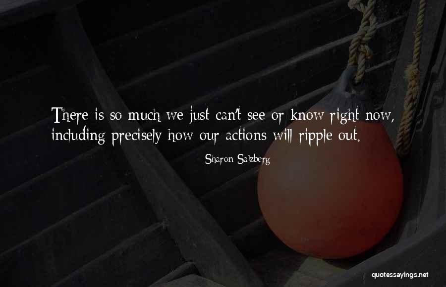Altamiro Flavio Quotes By Sharon Salzberg Altamiro Flavio Quotes By Sharon Salzberg