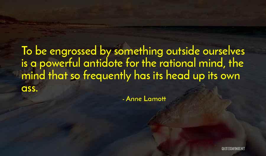 Alteia Drake Quotes By Anne Lamott Alteia Drake Quotes By Anne Lamott