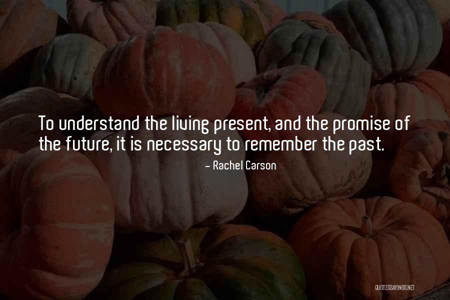 Alterare Dex Quotes By Rachel Carson Alterare Dex Quotes By Rachel Carson